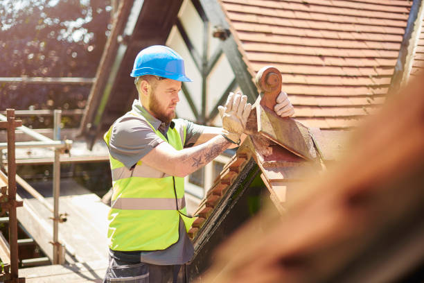 Best Roof Gutter Cleaning  in Basin, WY
