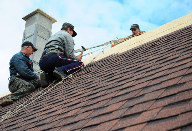Best Local Roofing Companies  in Basin, WY